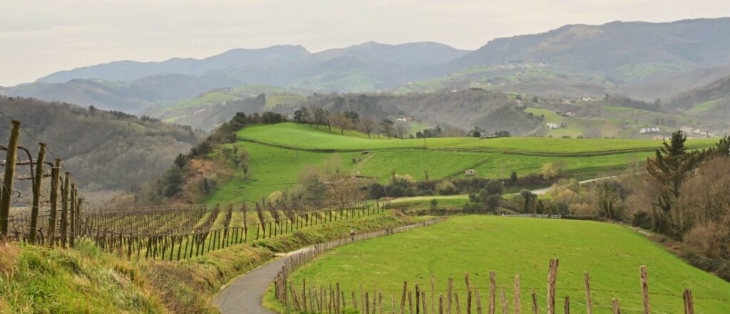 Wandelen San Sebastian Camino de Santiago