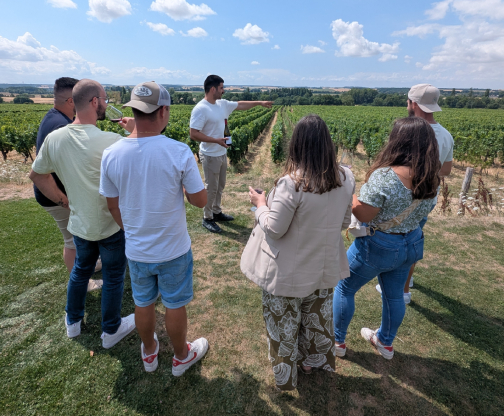 Loire domainegrosbois (9)
