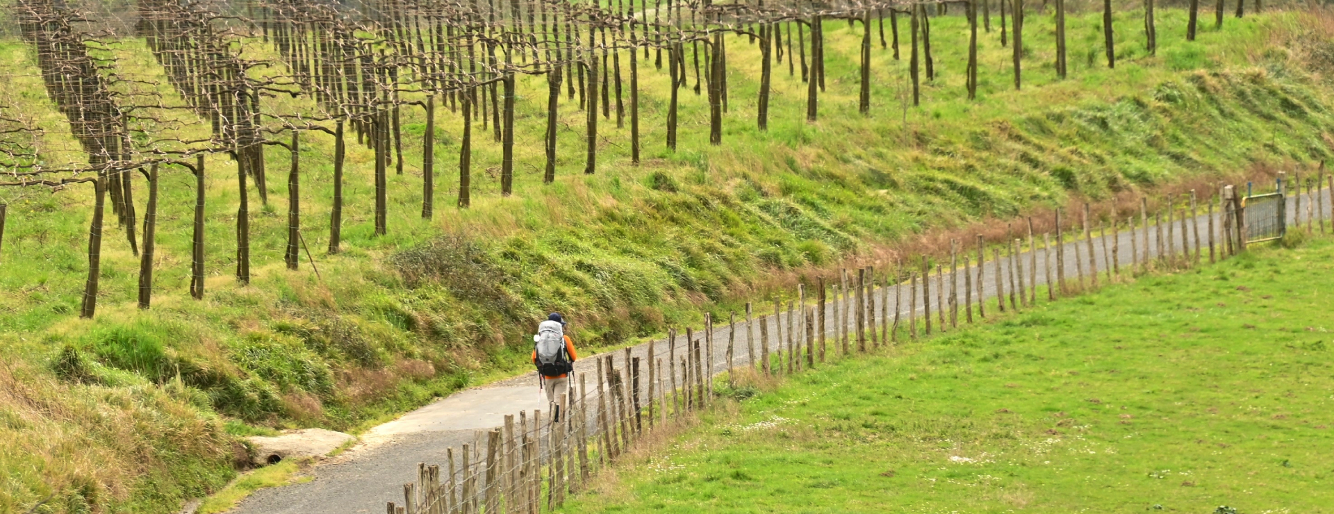 San Sebastian hike Camino de Santiago CR header